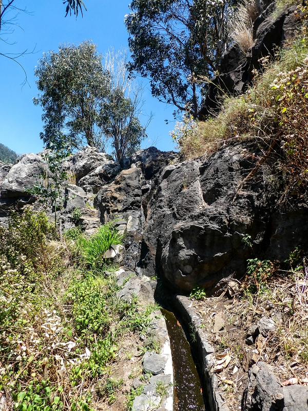 13.05.2019 Ein neuer Aufstieg von Meia Legua nach Eira do Mourao, und die Rätsel der s der Levadas de Baixo und Meio — Na Levada de Baixo — foto 23