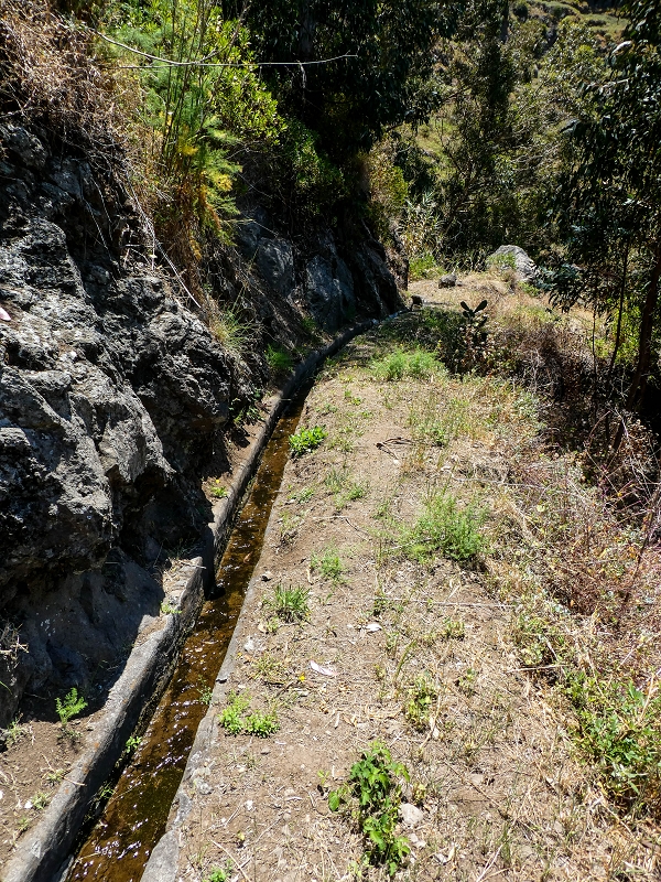 13.05.2019 Ein neuer Aufstieg von Meia Legua nach Eira do Mourao, und die Rätsel der s der Levadas de Baixo und Meio — Na Levada de Baixo — foto 24