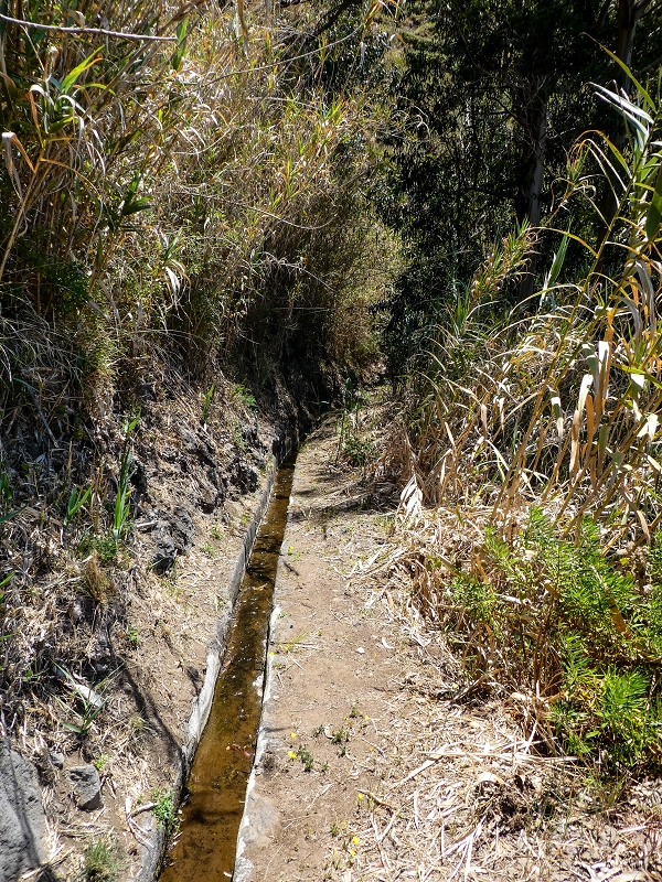 13.05.2019 Ein neuer Aufstieg von Meia Legua nach Eira do Mourao, und die Rätsel der s der Levadas de Baixo und Meio — Na Levada de Baixo — foto 26