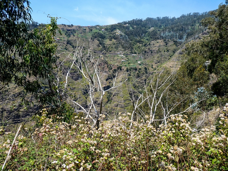 13.05.2019 Ein neuer Aufstieg von Meia Legua nach Eira do Mourao, und die Rätsel der s der Levadas de Baixo und Meio — Na Levada de Baixo — foto 27