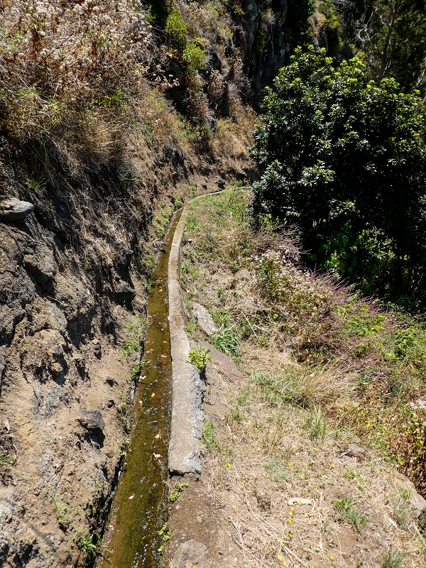 13.05.2019 Ein neuer Aufstieg von Meia Legua nach Eira do Mourao, und die Rätsel der s der Levadas de Baixo und Meio — Na Levada de Baixo — foto 34