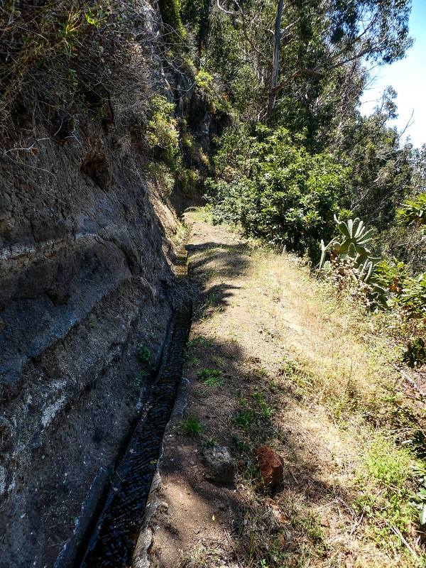 13.05.2019 Ein neuer Aufstieg von Meia Legua nach Eira do Mourao, und die Rätsel der s der Levadas de Baixo und Meio — Na Levada de Baixo — foto 35
