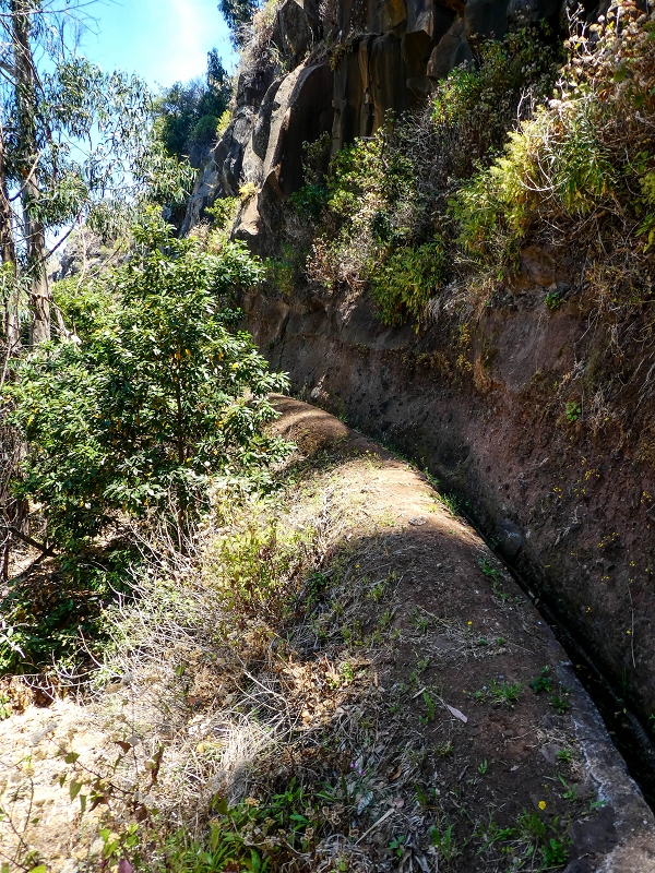 13.05.2019 Ein neuer Aufstieg von Meia Legua nach Eira do Mourao, und die Rätsel der s der Levadas de Baixo und Meio — Na Levada de Baixo — foto 36