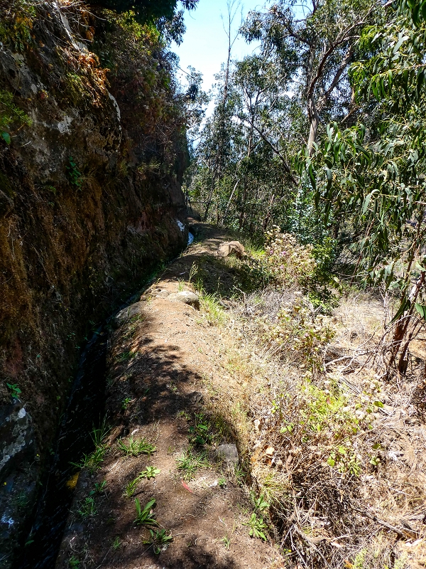 13.05.2019 Ein neuer Aufstieg von Meia Legua nach Eira do Mourao, und die Rätsel der s der Levadas de Baixo und Meio — Na Levada de Baixo — foto 37