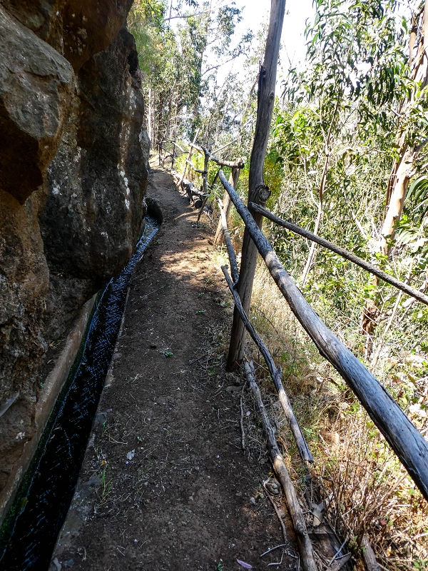 13.05.2019 Ein neuer Aufstieg von Meia Legua nach Eira do Mourao, und die Rätsel der s der Levadas de Baixo und Meio — Na Levada de Baixo — foto 38