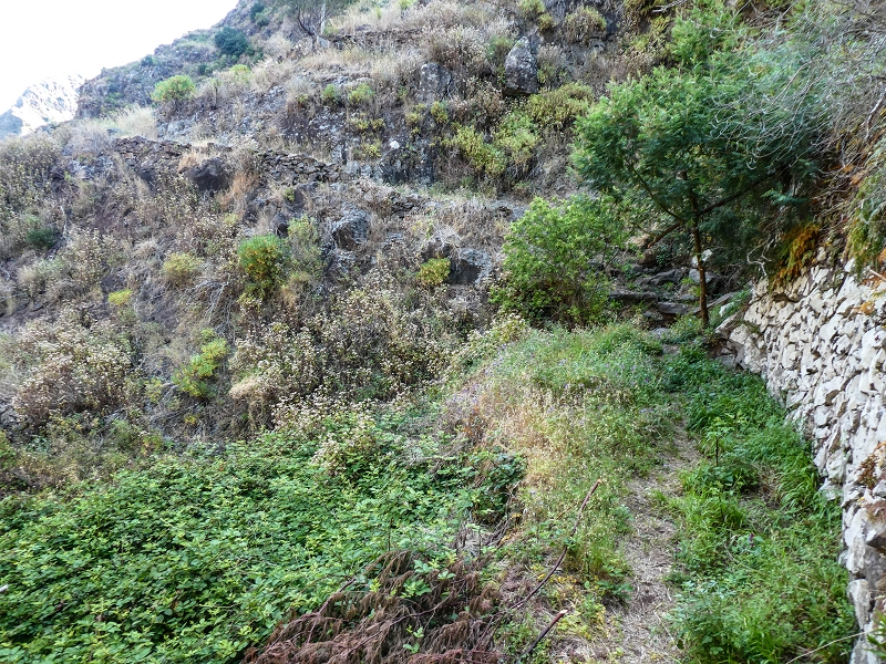 13.05.2019 Ein neuer Aufstieg von Meia Legua nach Eira do Mourao, und die Rätsel der s der Levadas de Baixo und Meio — Subida de Meia Legua até ao troço com corda — foto 24