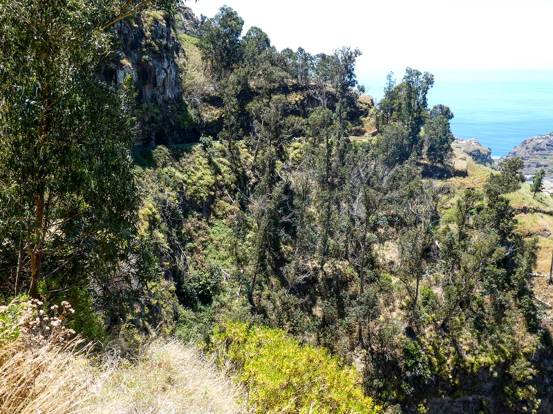 13.05.2019 Ein neuer Aufstieg von Meia Legua nach Eira do Mourao, und die Rätsel der s der Levadas de Baixo und Meio — Na Levada de Baixo — foto 42