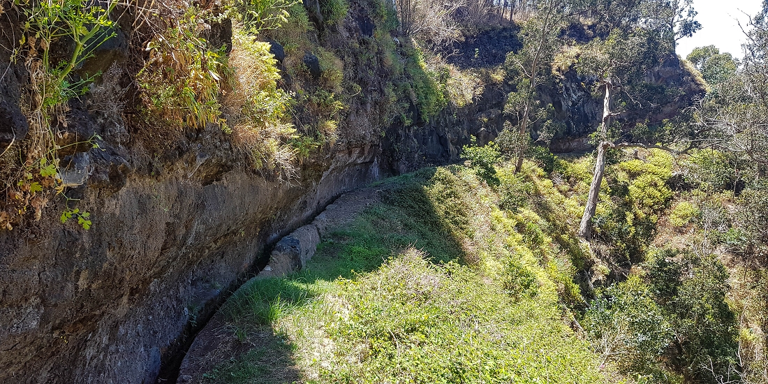 13.05.2019 Ein neuer Aufstieg von Meia Legua nach Eira do Mourao, und die Rätsel der s der Levadas de Baixo und Meio — Na Levada de Baixo — foto 44