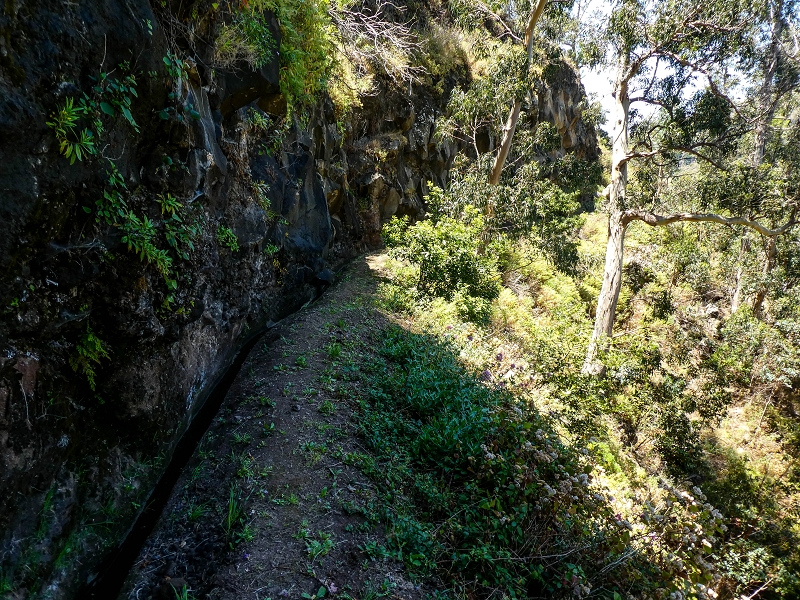 13.05.2019 Ein neuer Aufstieg von Meia Legua nach Eira do Mourao, und die Rätsel der s der Levadas de Baixo und Meio — Na Levada de Baixo — foto 46
