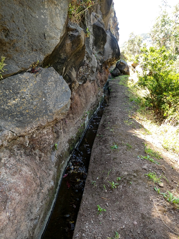 13.05.2019 Ein neuer Aufstieg von Meia Legua nach Eira do Mourao, und die Rätsel der s der Levadas de Baixo und Meio — Na Levada de Baixo — foto 51