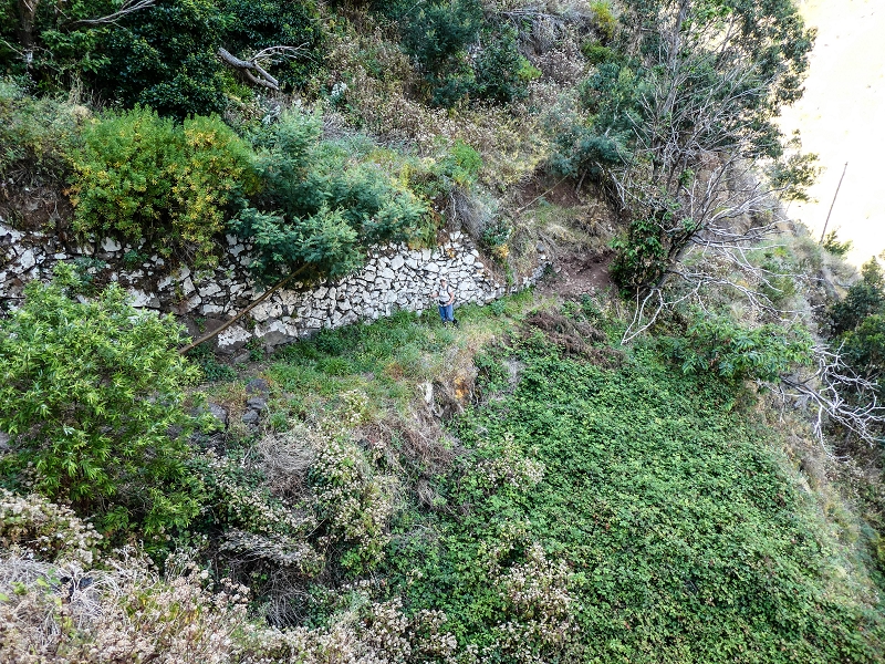 13.05.2019 Ein neuer Aufstieg von Meia Legua nach Eira do Mourao, und die Rätsel der s der Levadas de Baixo und Meio — Subida de Meia Legua até ao troço com corda — foto 25