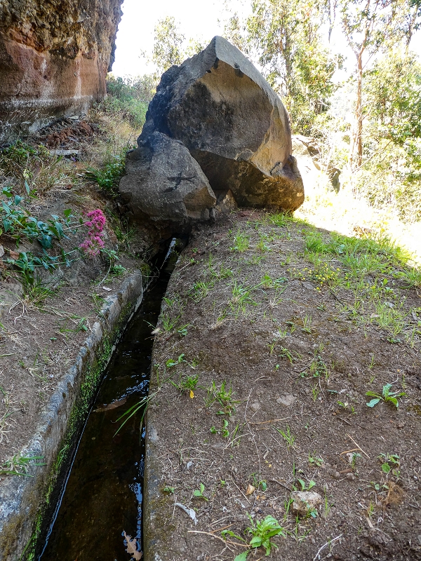 13.05.2019 Ein neuer Aufstieg von Meia Legua nach Eira do Mourao, und die Rätsel der s der Levadas de Baixo und Meio — Na Levada de Baixo — foto 52