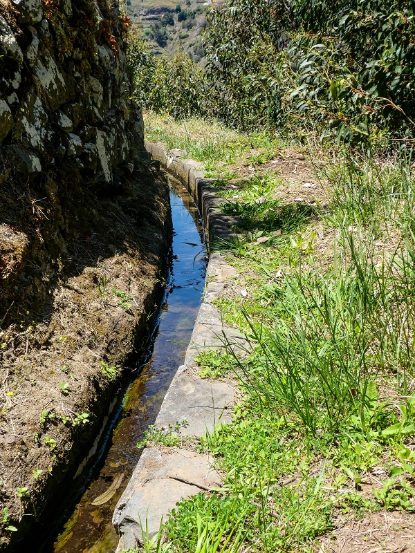 13.05.2019 Ein neuer Aufstieg von Meia Legua nach Eira do Mourao, und die Rätsel der s der Levadas de Baixo und Meio — Na Levada de Baixo — foto 53