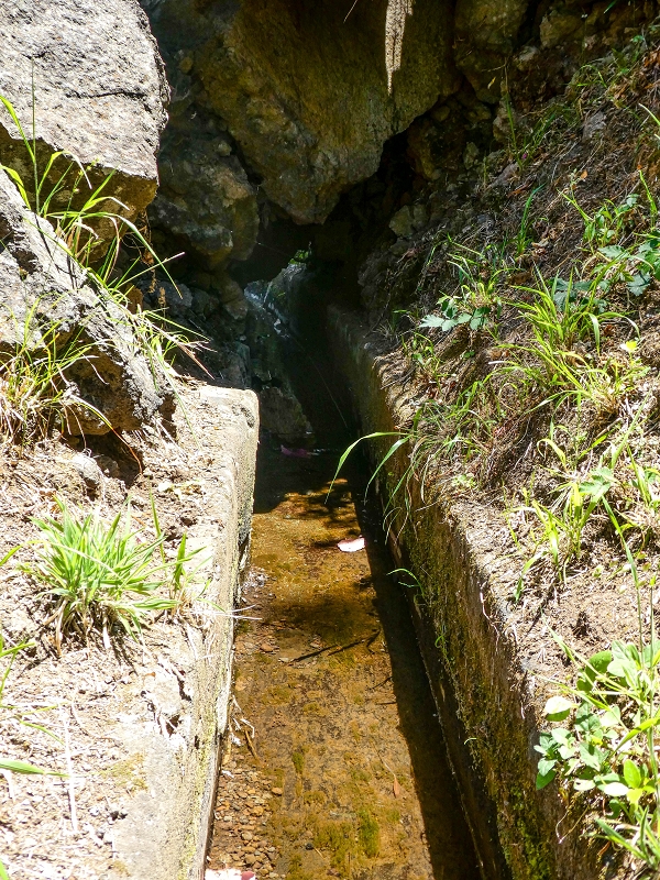 13.05.2019 Ein neuer Aufstieg von Meia Legua nach Eira do Mourao, und die Rätsel der s der Levadas de Baixo und Meio — Na Levada de Baixo — foto 54