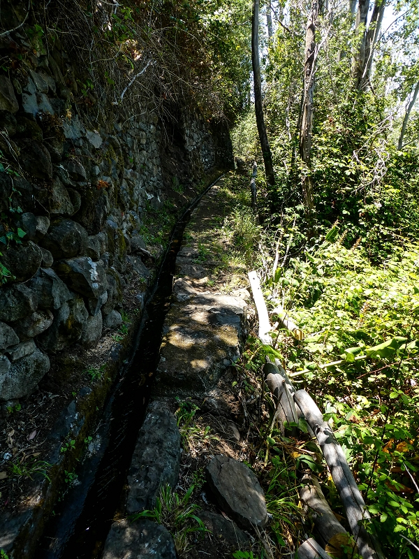 13.05.2019 Ein neuer Aufstieg von Meia Legua nach Eira do Mourao, und die Rätsel der s der Levadas de Baixo und Meio — Na Levada de Baixo — foto 56