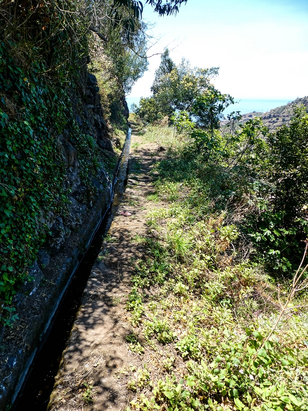 13.05.2019 Ein neuer Aufstieg von Meia Legua nach Eira do Mourao, und die Rätsel der s der Levadas de Baixo und Meio — Na Levada de Baixo — foto 58