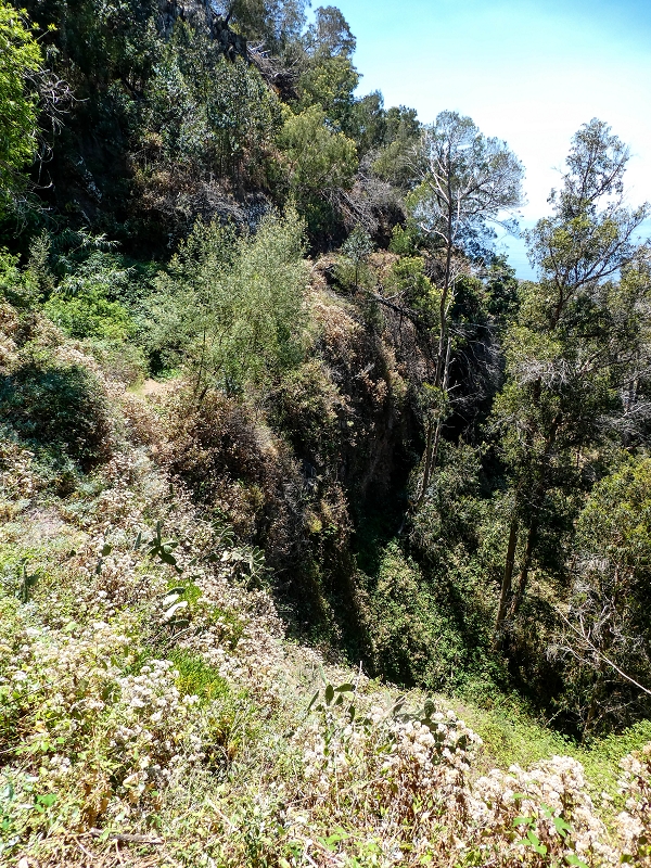 13.05.2019 Ein neuer Aufstieg von Meia Legua nach Eira do Mourao, und die Rätsel der s der Levadas de Baixo und Meio — Na Levada de Baixo — foto 59