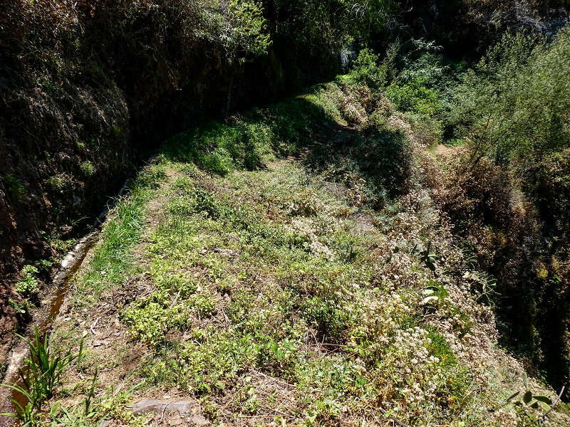 13.05.2019 Ein neuer Aufstieg von Meia Legua nach Eira do Mourao, und die Rätsel der s der Levadas de Baixo und Meio — Na Levada de Baixo — foto 60