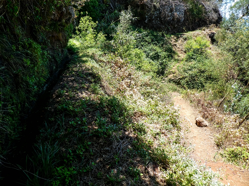 13.05.2019 Ein neuer Aufstieg von Meia Legua nach Eira do Mourao, und die Rätsel der s der Levadas de Baixo und Meio — Na Levada de Baixo — foto 61