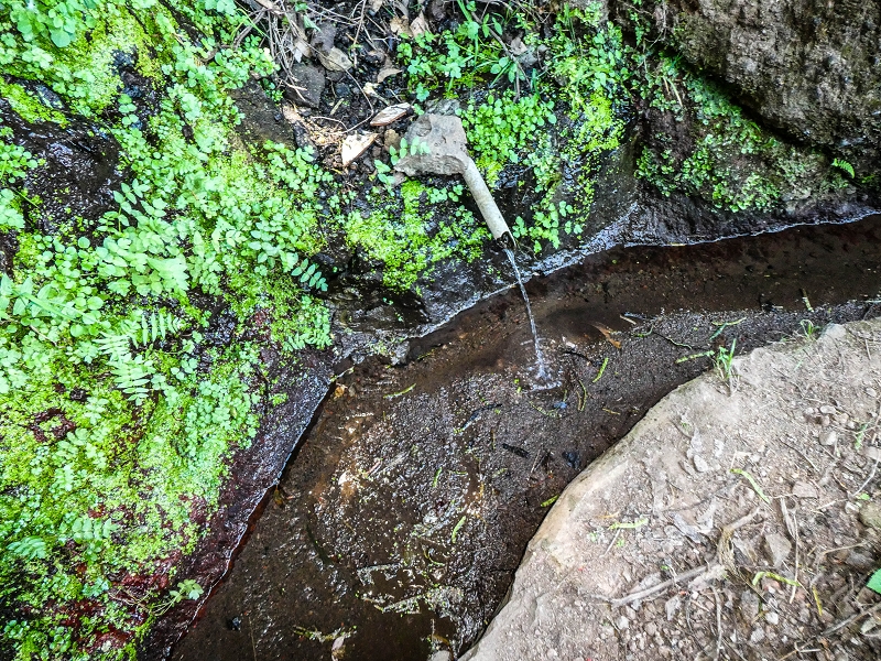13.05.2019 Ein neuer Aufstieg von Meia Legua nach Eira do Mourao, und die Rätsel der s der Levadas de Baixo und Meio — Na Levada de Baixo — foto 62