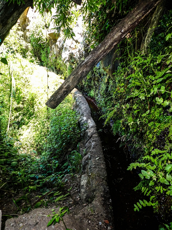 13.05.2019 Ein neuer Aufstieg von Meia Legua nach Eira do Mourao, und die Rätsel der s der Levadas de Baixo und Meio — Na Levada de Baixo — foto 63