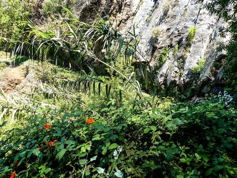 13.05.2019 Ein neuer Aufstieg von Meia Legua nach Eira do Mourao, und die Rätsel der s der Levadas de Baixo und Meio — On the Levada de Baixo — photo 64