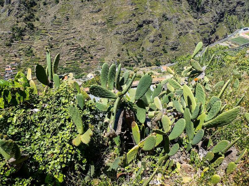 13.05.2019 Ein neuer Aufstieg von Meia Legua nach Eira do Mourao, und die Rätsel der s der Levadas de Baixo und Meio — On the Levada de Baixo — photo 66