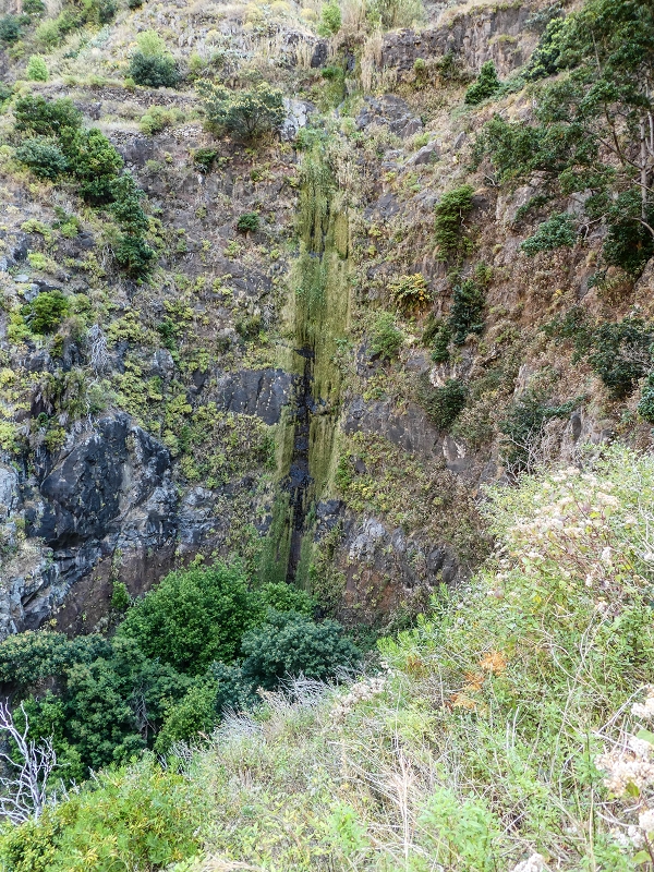 13.05.2019 Ein neuer Aufstieg von Meia Legua nach Eira do Mourao, und die Rätsel der s der Levadas de Baixo und Meio — Subida de Meia Legua até ao troço com corda — foto 27