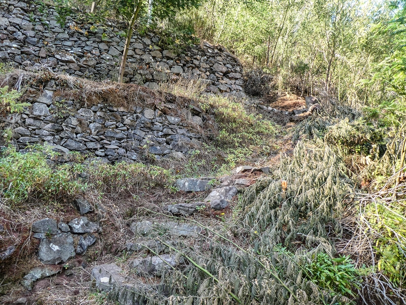 13.05.2019 Ein neuer Aufstieg von Meia Legua nach Eira do Mourao, und die Rätsel der s der Levadas de Baixo und Meio — Troço com corda e degraus desbravados — foto 5