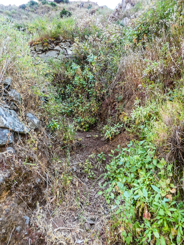 13.05.2019 Ein neuer Aufstieg von Meia Legua nach Eira do Mourao, und die Rätsel der s der Levadas de Baixo und Meio — Troço com corda e degraus desbravados — foto 10