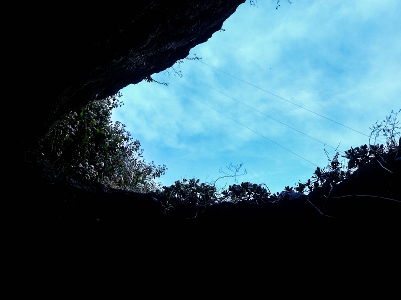 13.05.2019 Ein neuer Aufstieg von Meia Legua nach Eira do Mourao, und die Rätsel der s der Levadas de Baixo und Meio — A casa-gruta — foto 5