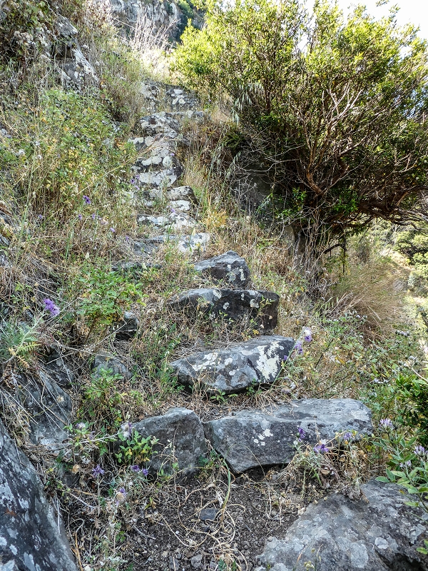 13.05.2019 Ein neuer Aufstieg von Meia Legua nach Eira do Mourao, und die Rätsel der s der Levadas de Baixo und Meio — Seguindo para Eira do Mourao — foto 1