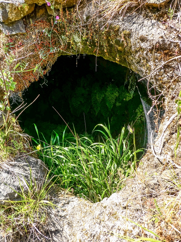 13.05.2019 Ein neuer Aufstieg von Meia Legua nach Eira do Mourao, und die Rätsel der s der Levadas de Baixo und Meio — Seguindo para Eira do Mourao — foto 4
