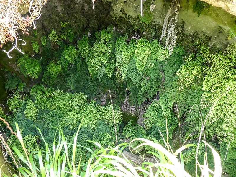 13.05.2019 Ein neuer Aufstieg von Meia Legua nach Eira do Mourao, und die Rätsel der s der Levadas de Baixo und Meio — Seguindo para Eira do Mourao — foto 5