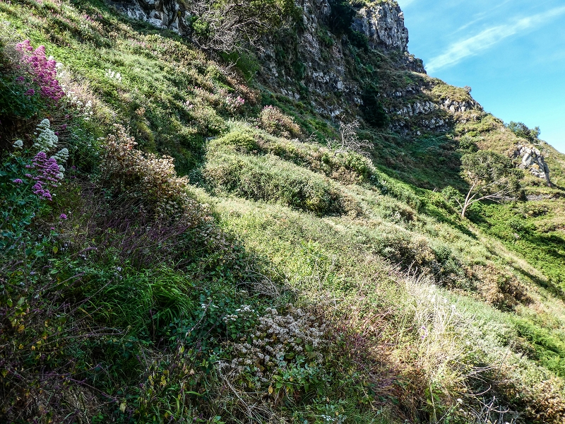 13.05.2019 Ein neuer Aufstieg von Meia Legua nach Eira do Mourao, und die Rätsel der s der Levadas de Baixo und Meio — Seguindo para Eira do Mourao — foto 6