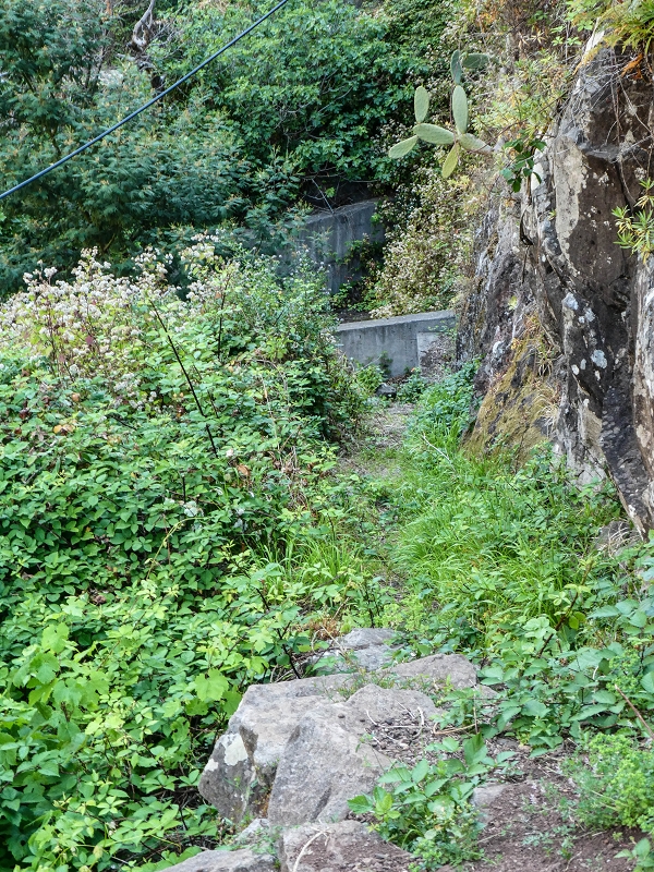 13.05.2019 Ein neuer Aufstieg von Meia Legua nach Eira do Mourao, und die Rätsel der s der Levadas de Baixo und Meio — Subida de Meia Legua até ao troço com corda — foto 10