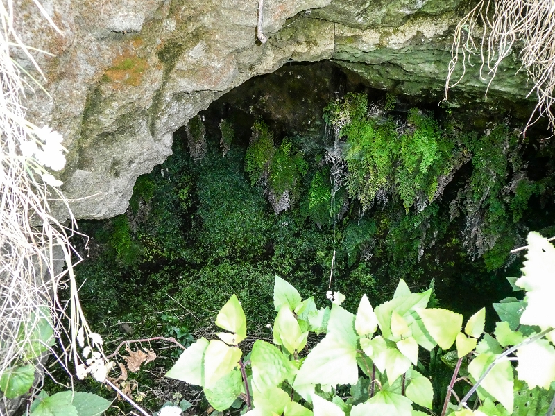 13.05.2019 Ein neuer Aufstieg von Meia Legua nach Eira do Mourao, und die Rätsel der s der Levadas de Baixo und Meio — Seguindo para Eira do Mourao — foto 7