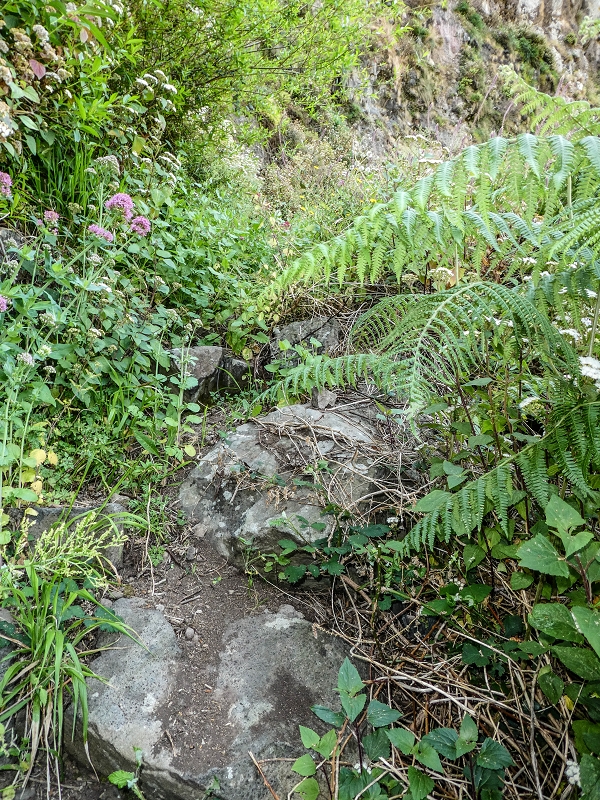 13.05.2019 Ein neuer Aufstieg von Meia Legua nach Eira do Mourao, und die Rätsel der s der Levadas de Baixo und Meio — Seguindo para Eira do Mourao — foto 9