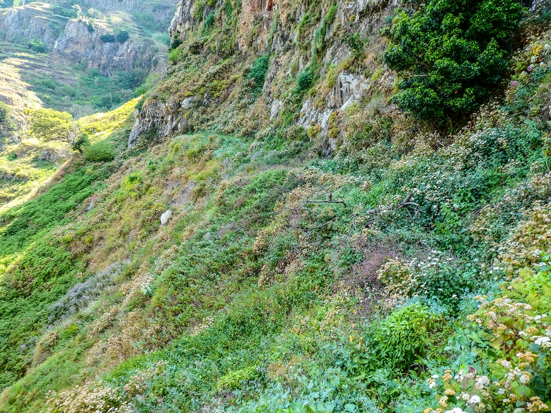 13.05.2019 Ein neuer Aufstieg von Meia Legua nach Eira do Mourao, und die Rätsel der s der Levadas de Baixo und Meio — Seguindo para Eira do Mourao — foto 13