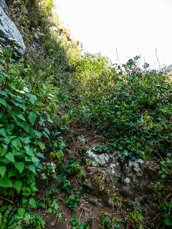 13.05.2019 Ein neuer Aufstieg von Meia Legua nach Eira do Mourao, und die Rätsel der s der Levadas de Baixo und Meio — Seguindo para Eira do Mourao — foto 14