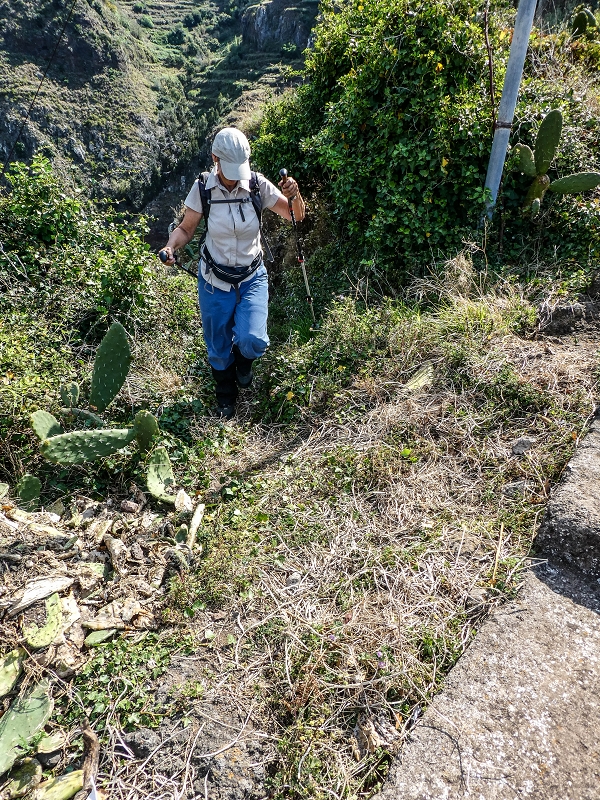 13.05.2019 Ein neuer Aufstieg von Meia Legua nach Eira do Mourao, und die Rätsel der s der Levadas de Baixo und Meio — Seguindo para Eira do Mourao — foto 17