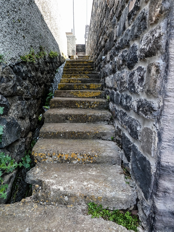 13.05.2019 Ein neuer Aufstieg von Meia Legua nach Eira do Mourao, und die Rätsel der s der Levadas de Baixo und Meio — Seguindo para Eira do Mourao — foto 21