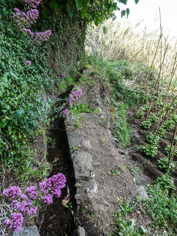 13.05.2019 Ein neuer Aufstieg von Meia Legua nach Eira do Mourao, und die Rätsel der s der Levadas de Baixo und Meio — Até à Levada de Baixo — foto 2