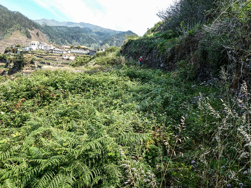 13.05.2019 Ein neuer Aufstieg von Meia Legua nach Eira do Mourao, und die Rätsel der s der Levadas de Baixo und Meio — Até à Levada de Baixo — foto 3