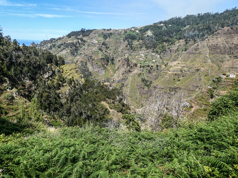 13.05.2019 Ein neuer Aufstieg von Meia Legua nach Eira do Mourao, und die Rätsel der s der Levadas de Baixo und Meio — Até à Levada de Baixo — foto 4