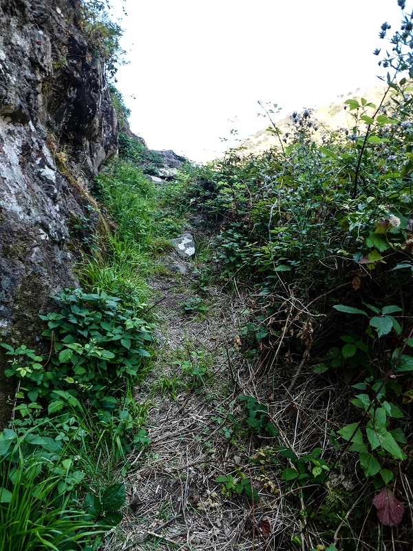 13.05.2019 Ein neuer Aufstieg von Meia Legua nach Eira do Mourao, und die Rätsel der s der Levadas de Baixo und Meio — Subida de Meia Legua até ao troço com corda — foto 12