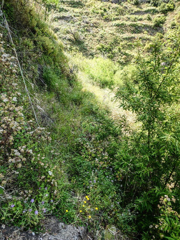 13.05.2019 Ein neuer Aufstieg von Meia Legua nach Eira do Mourao, und die Rätsel der s der Levadas de Baixo und Meio — Até à Levada de Baixo — foto 6