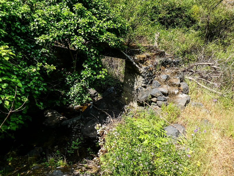 13.05.2019 Ein neuer Aufstieg von Meia Legua nach Eira do Mourao, und die Rätsel der s der Levadas de Baixo und Meio — Até à Levada de Baixo — foto 7