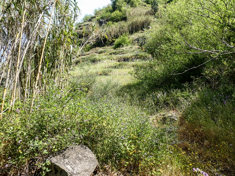 13.05.2019 Ein neuer Aufstieg von Meia Legua nach Eira do Mourao, und die Rätsel der s der Levadas de Baixo und Meio — Até à Levada de Baixo — foto 8
