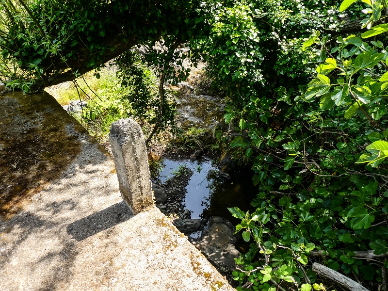 13.05.2019 Ein neuer Aufstieg von Meia Legua nach Eira do Mourao, und die Rätsel der s der Levadas de Baixo und Meio — Até à Levada de Baixo — foto 9